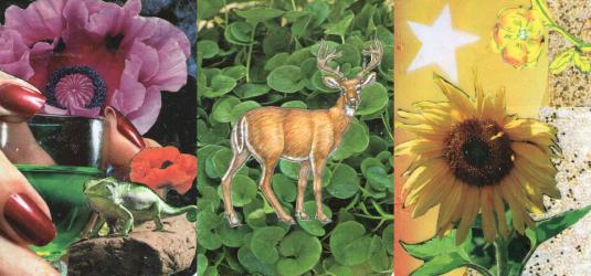 Thumbnail of Lizard of Guilt, Cernunnos, Luck