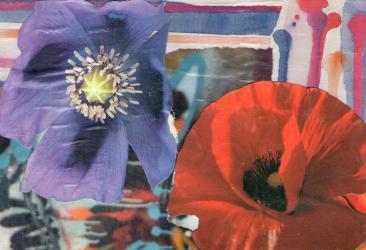 Thumbnail of Poppy Postcard