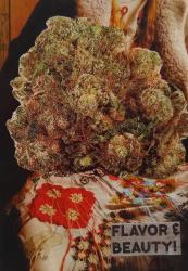 Thumbnail of Flavor & Beauty