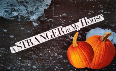 Thumbnail of A Stranger in My House